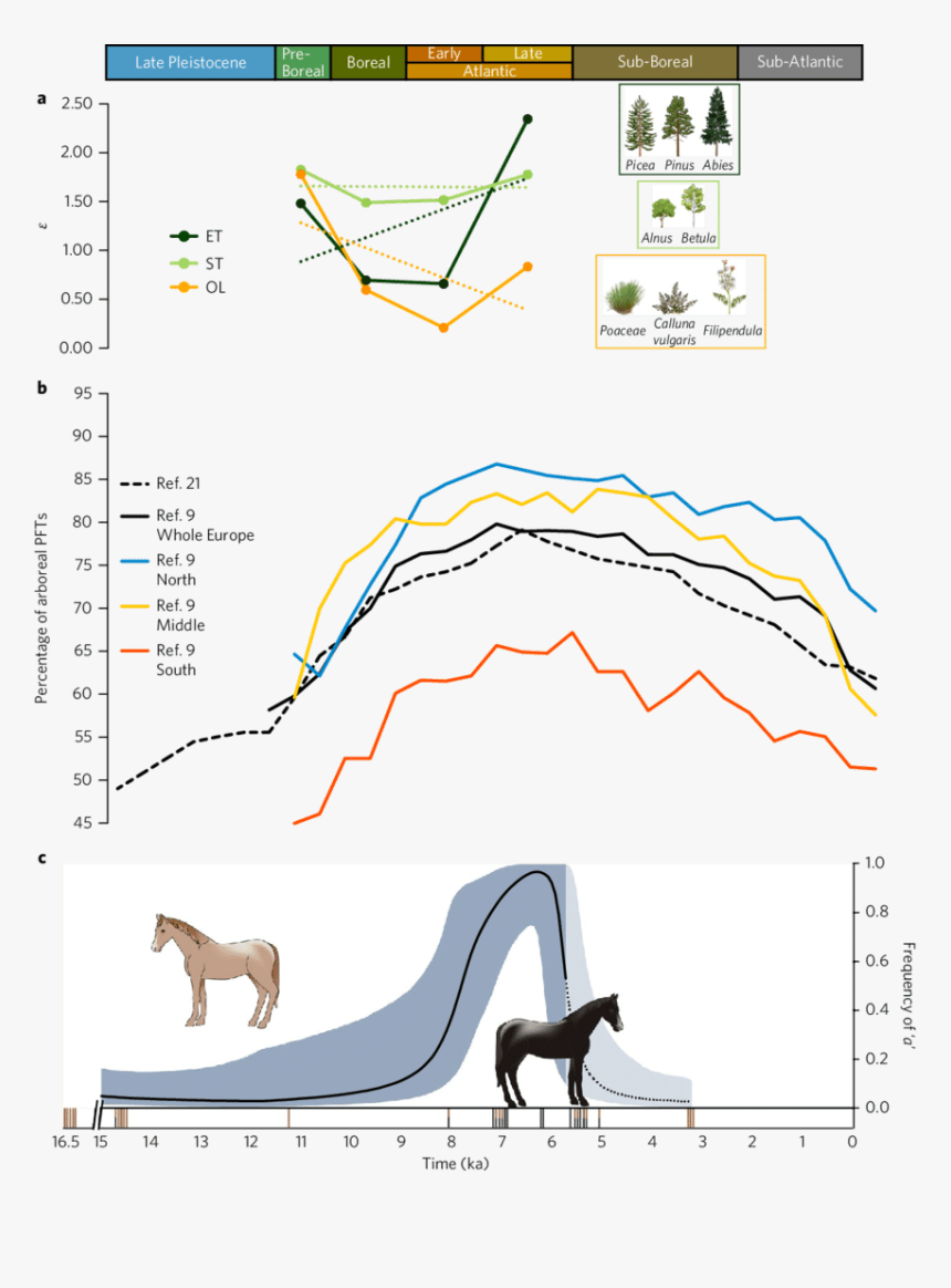 Diagram, HD Png Download