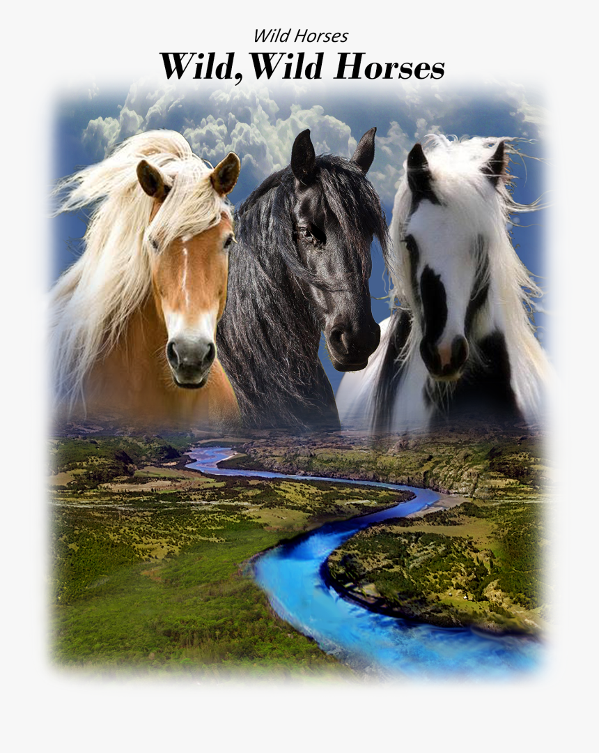 Mane, HD Png Download