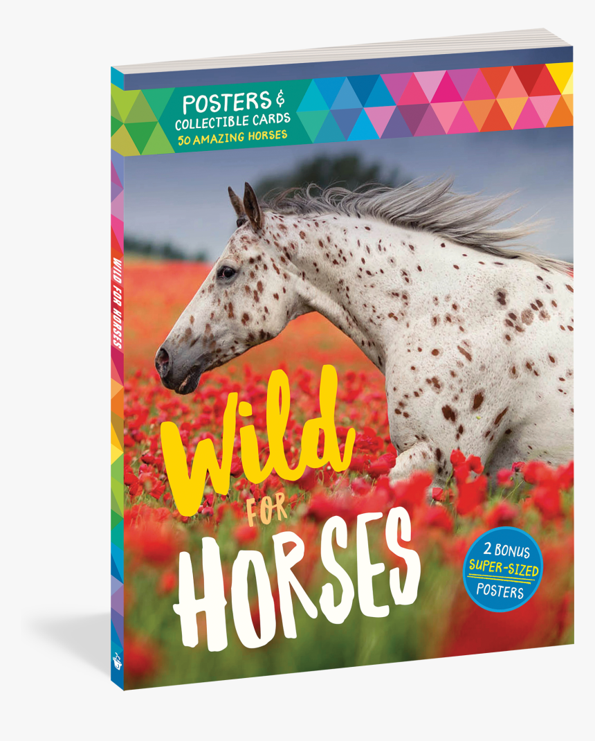 Cover, HD Png Download