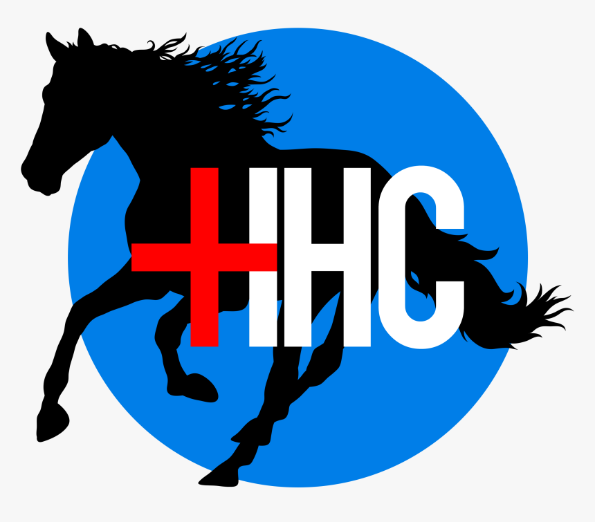 Transparent Wild Mustang Clipart - Mane, HD Png Download