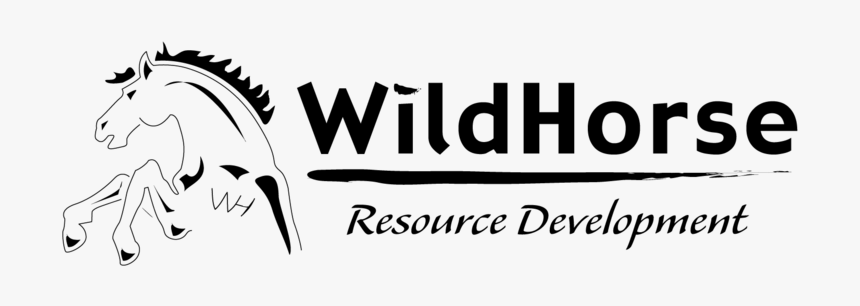 Wildhorse - Stallion, HD Png Download