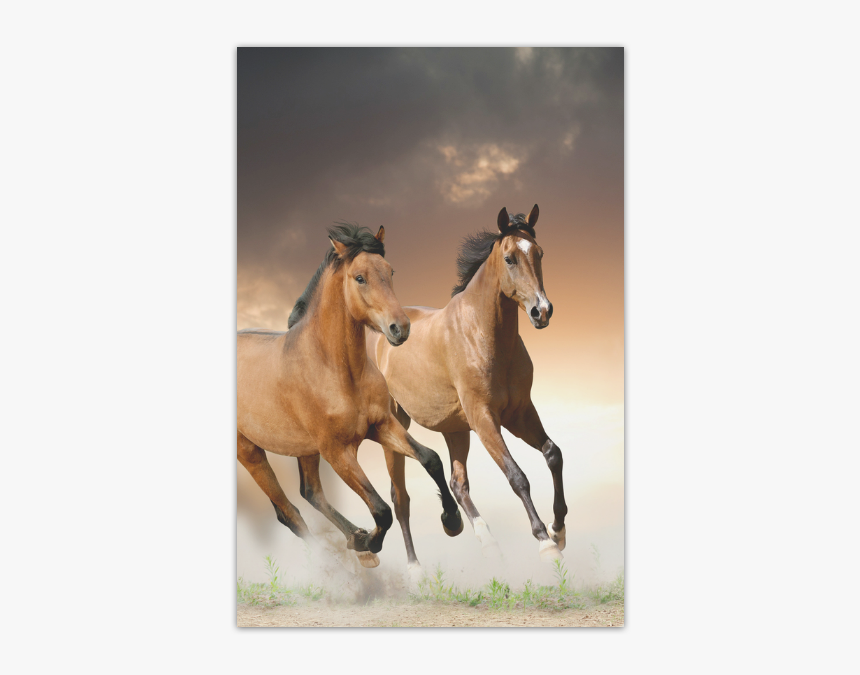 Personlized Animal Series Design Wild Horse Runnin - Apple Ipad Ipad Cases With Horses, HD Png Download