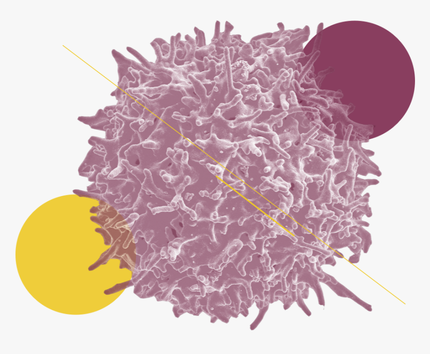 Science Cancer, HD Png Download