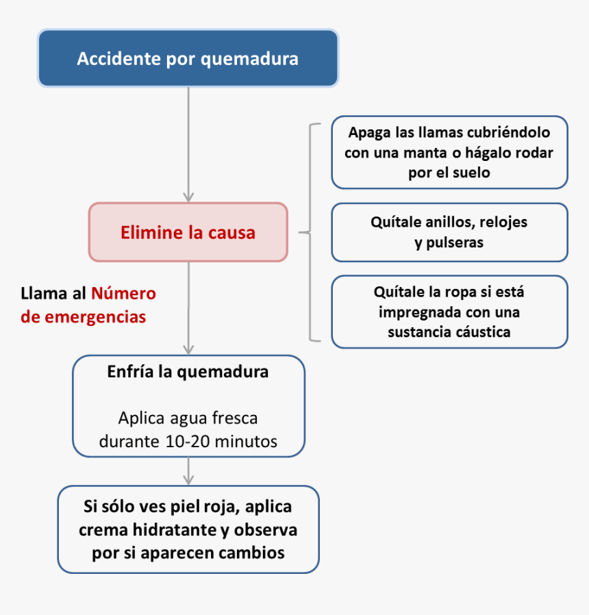 Pasos Básicos A Seguir Ante Un Niño Que Ha Sufrido - Actuar Davant Una Cremada, HD Png Download