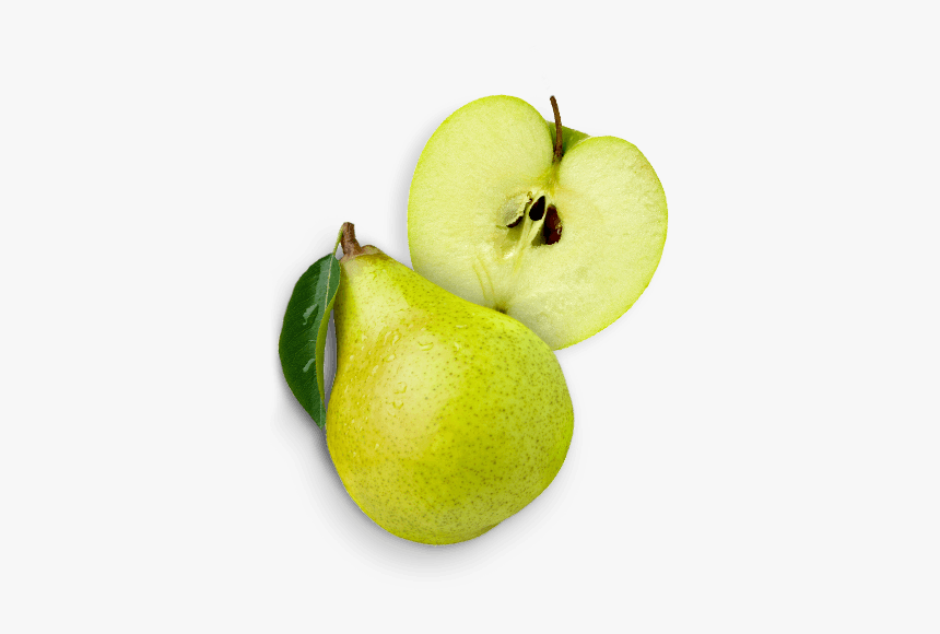 Apple / Pear - Apple From Top Png, Transparent Png