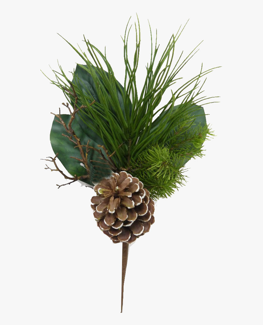 Mixed Evergreen Pick With Pinecones - Conifer Cone, HD Png Download