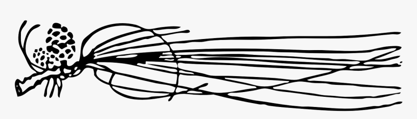 Pine Needles, Pinecone, Pine Cone, Pine Tree, Pine - Clipart Pine Needle, HD Png Download