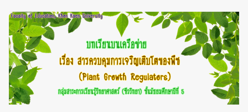 Picture - Eco Friendly Means Of Transport, HD Png Download