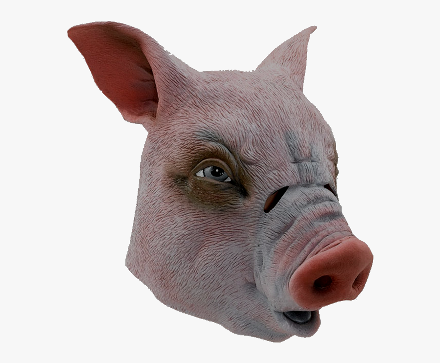 Domestic Pig, HD Png Download