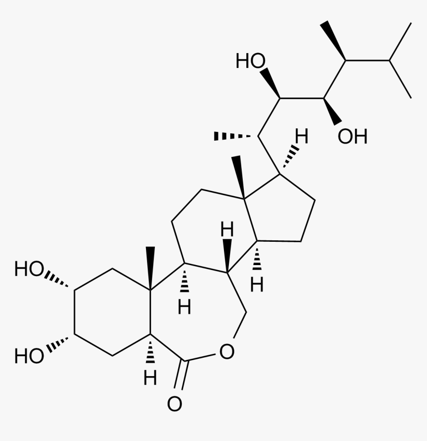 Diagram, HD Png Download