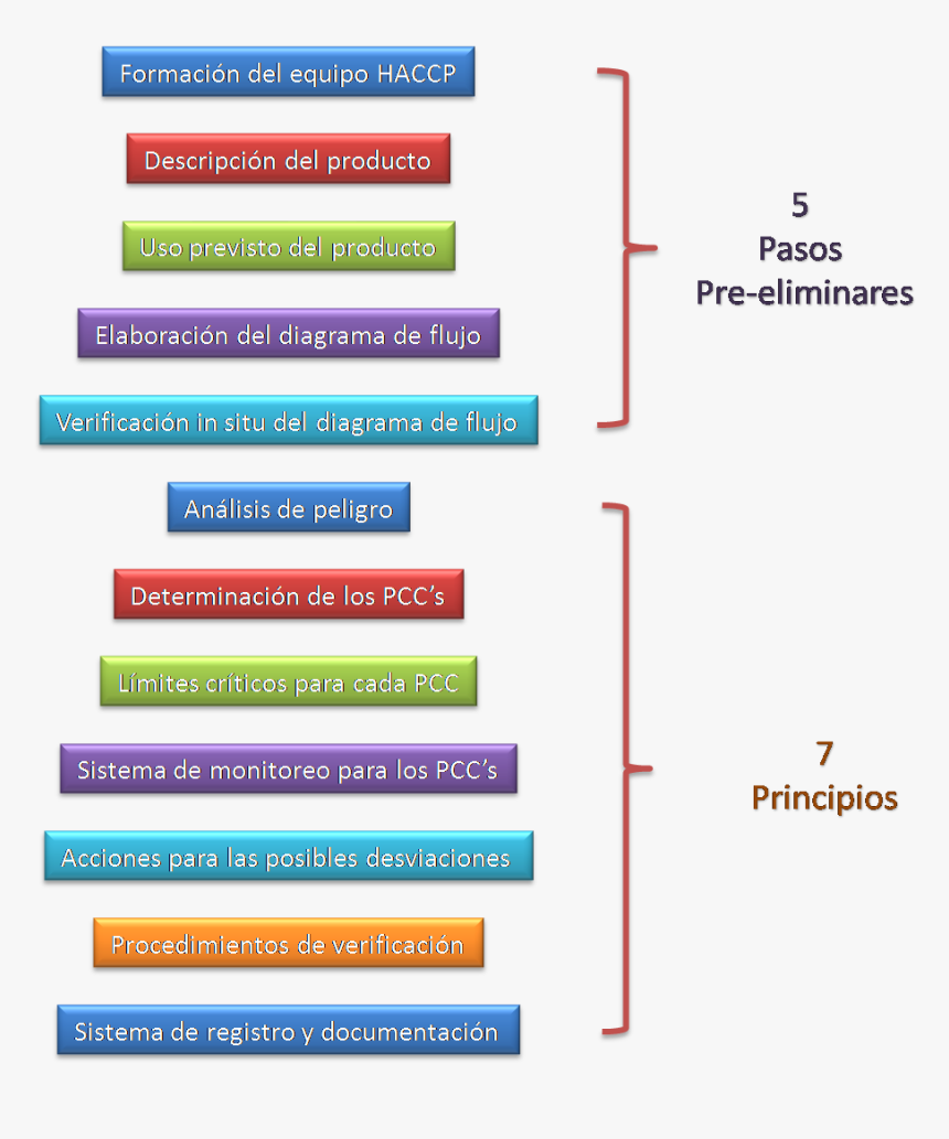 El Proceso De Implantación Deberá Seguir Las Diferentes - 12 Pasos Del Sistema Haccp, HD Png Download
