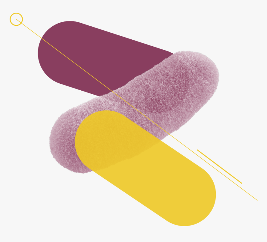 Slipper, HD Png Download