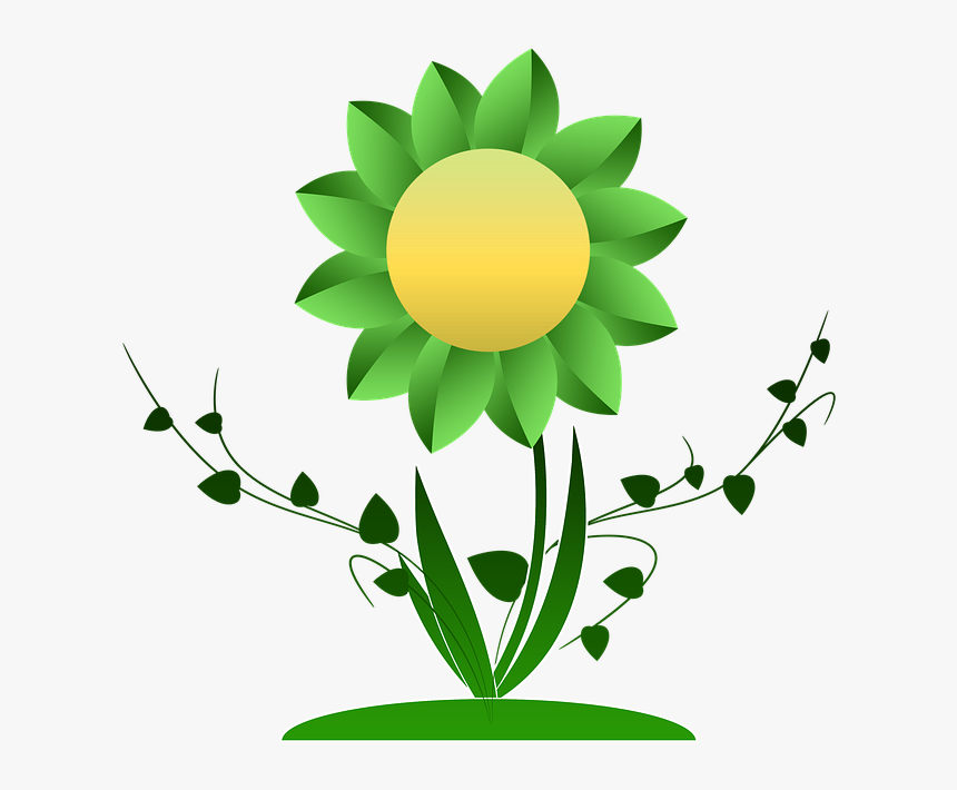 Growth, Flower, Plant, Ranke, Climber Plant, Green - Donazione Del Sangue, HD Png Download