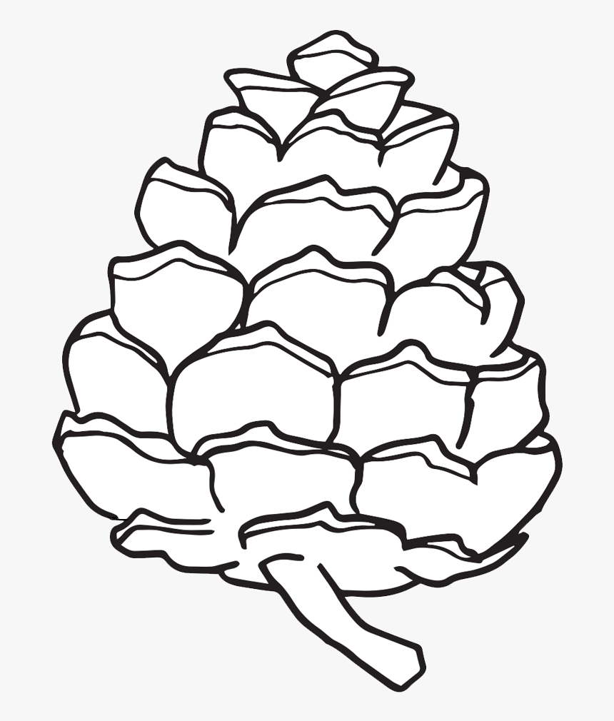Pine Cone Clipart Worksheets - Simple Drawing Of Pine Cone, HD Png Download