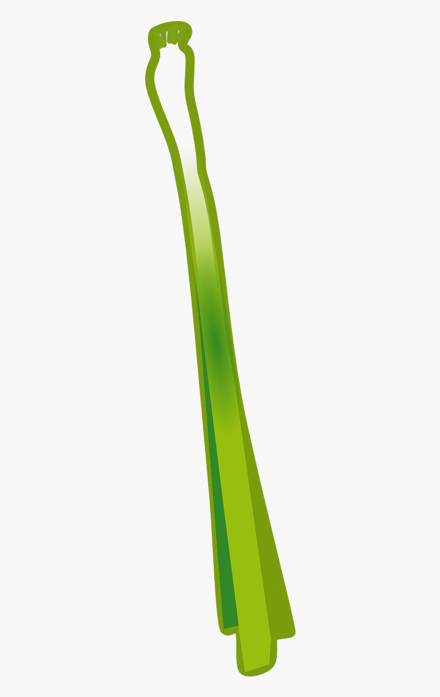 Grass, HD Png Download