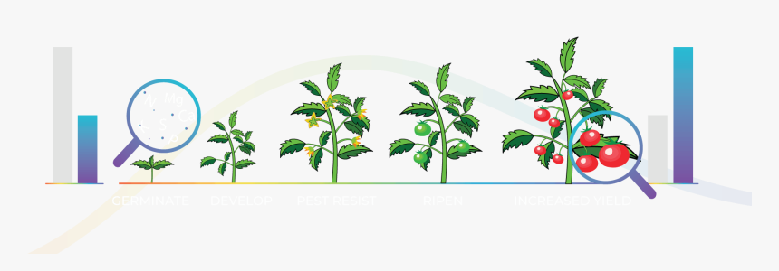 Clip Art, HD Png Download