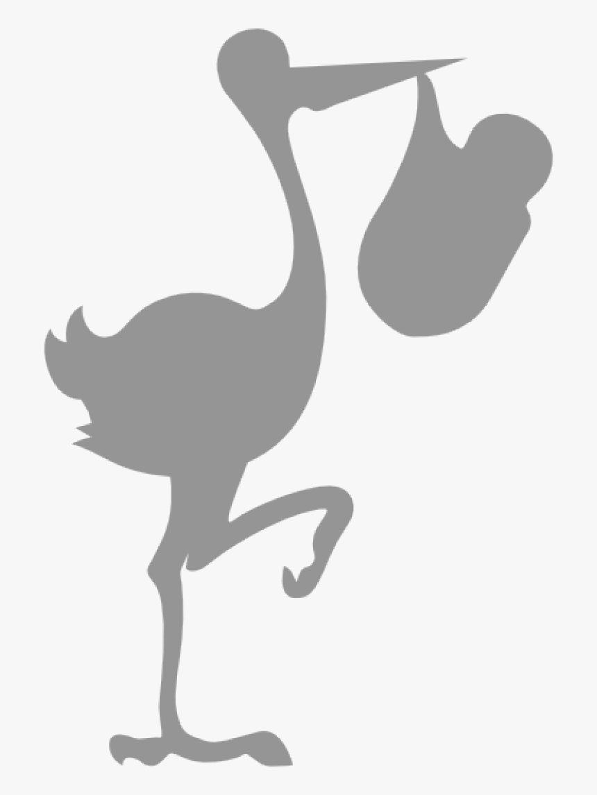 Stork Network, HD Png Download