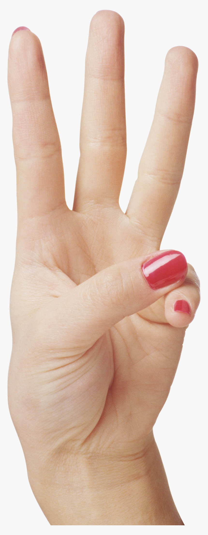 3 Hand Png, Transparent Png