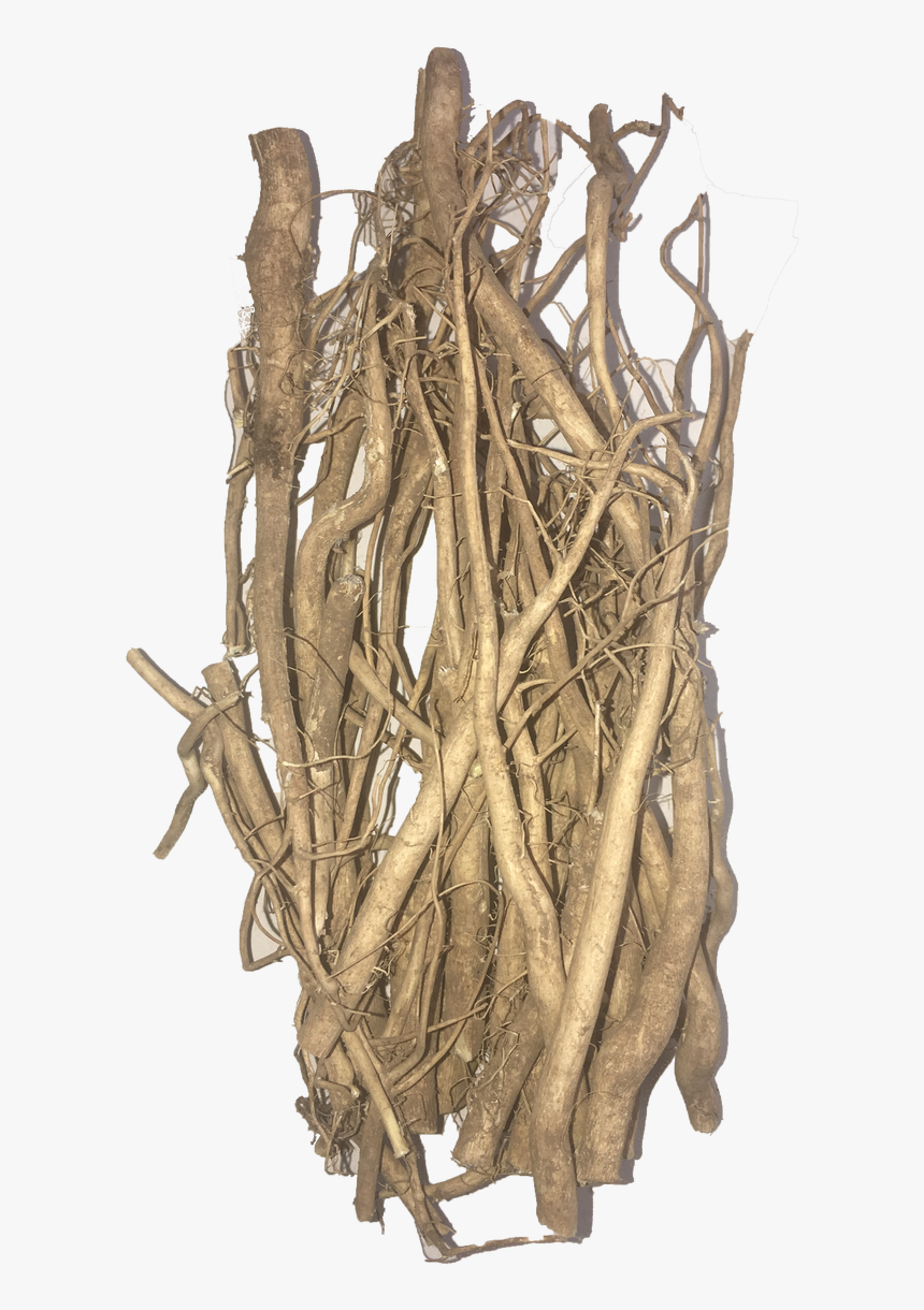 Wholesale Hemp Roots - Driftwood, HD Png Download