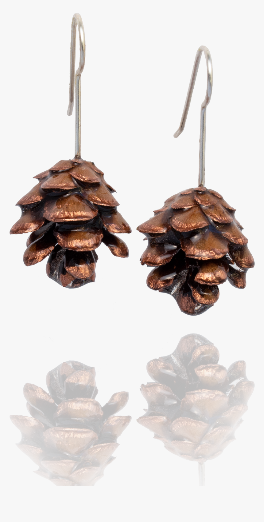 Transparent Pinecone Png - Conifer Cone, Png Download