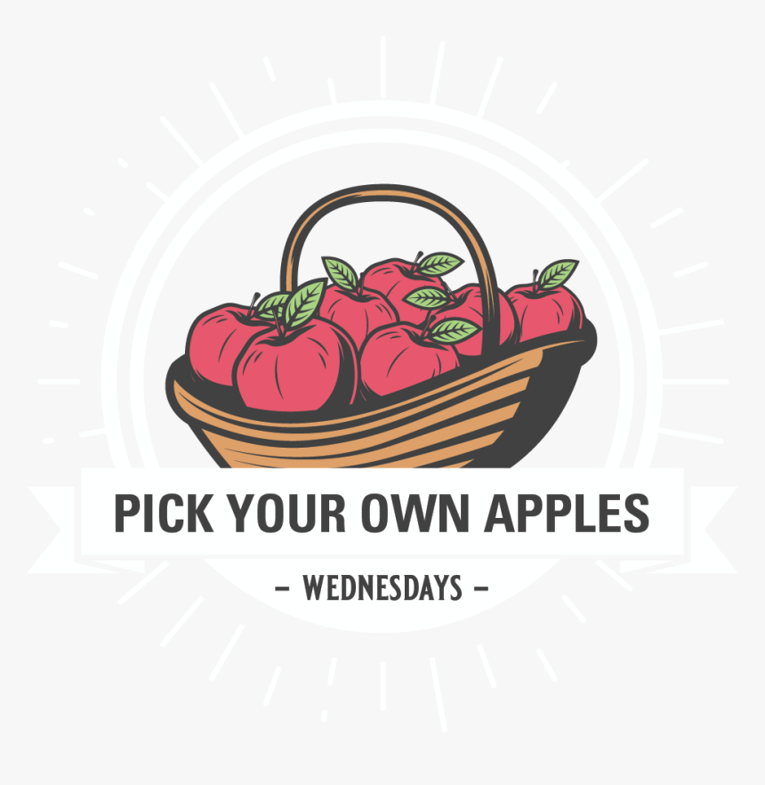 Storage Basket, HD Png Download