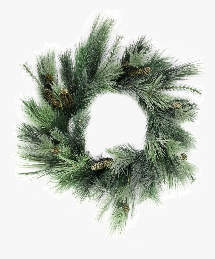 Mexican Pinyon, HD Png Download