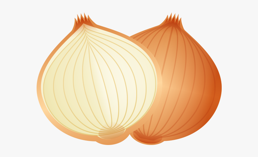 Cartoon Food Onion Png Download - Cartoon Picture Of Onion, Transparent Png