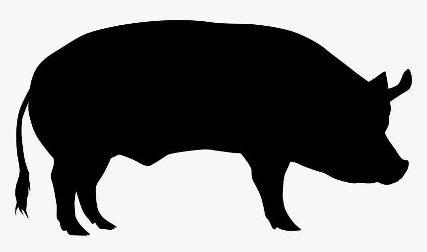 Domestic Pig Cattle Sheep Silhouette - Transparent Background Pig Silhouette Png, Png Download
