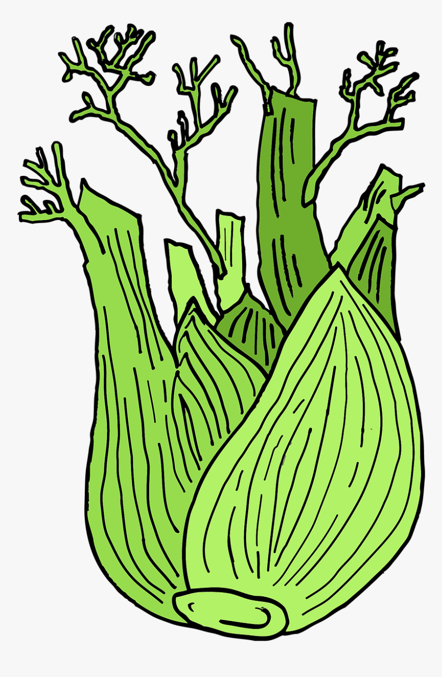 White Line Fennel Cartoon Png, Transparent Png