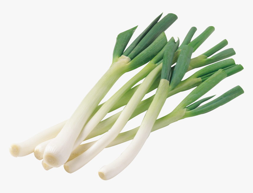 Leek Png - Клипарт Зелёный Лук Png, Transparent Png