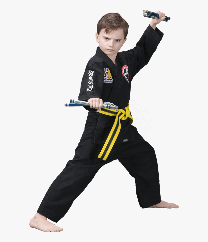 Transparent Angry Child Png - Kung Fu, Png Download