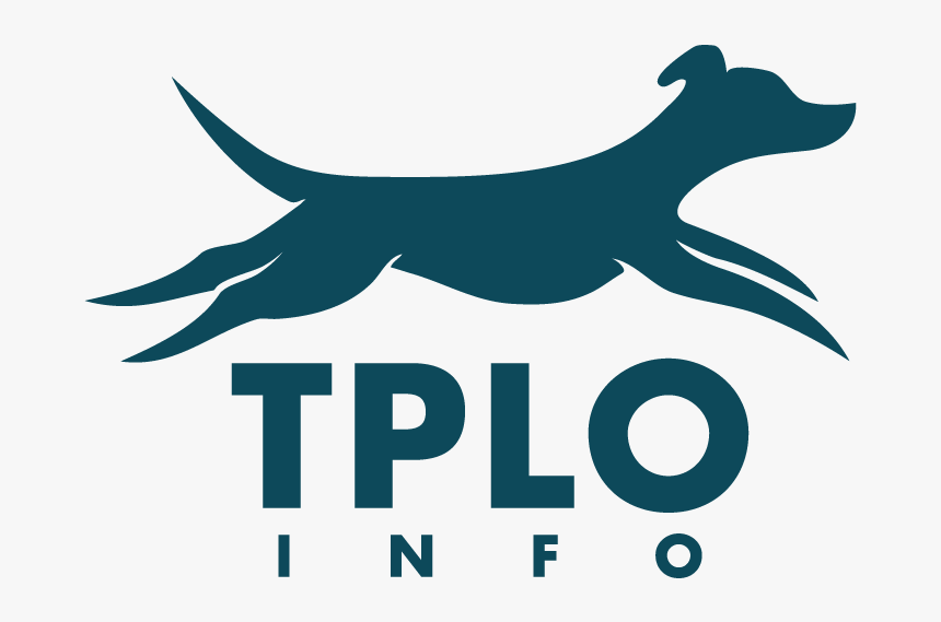 Dog, HD Png Download