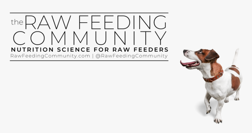 raw feeding community