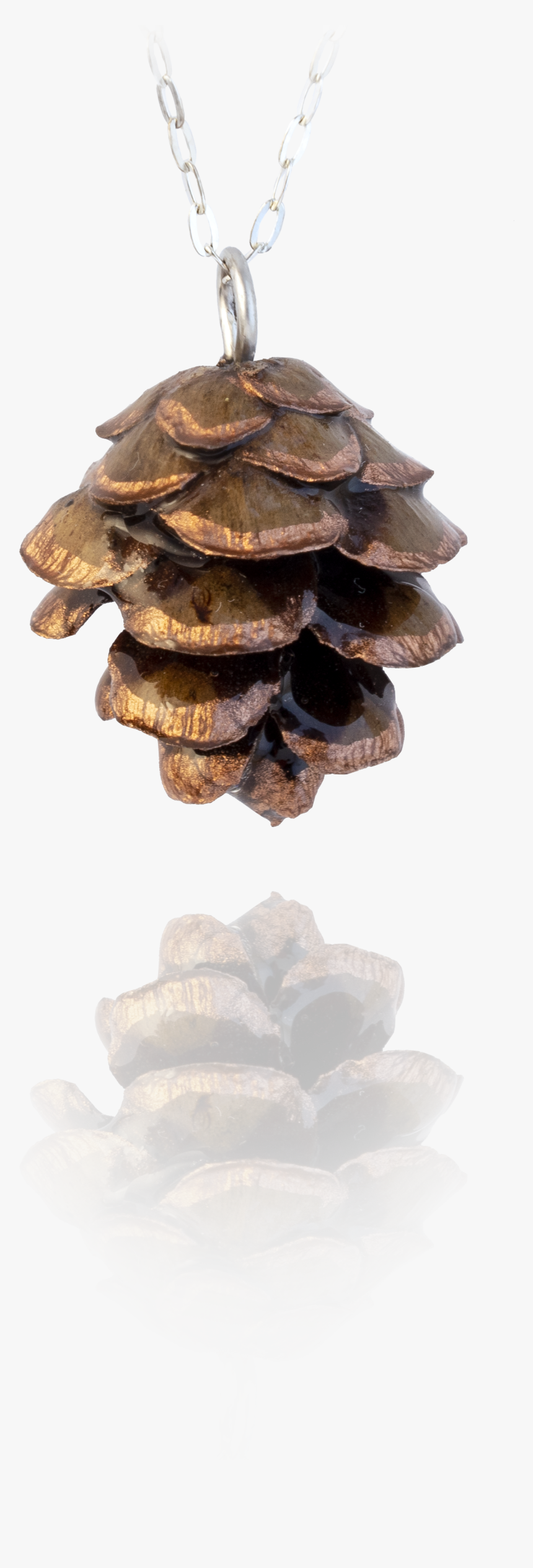 Christmas Tree, HD Png Download