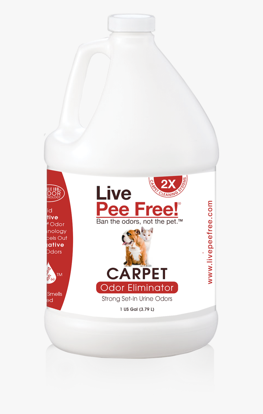 Transparent Dog Laying Down Png - Basset Hound, Png Download