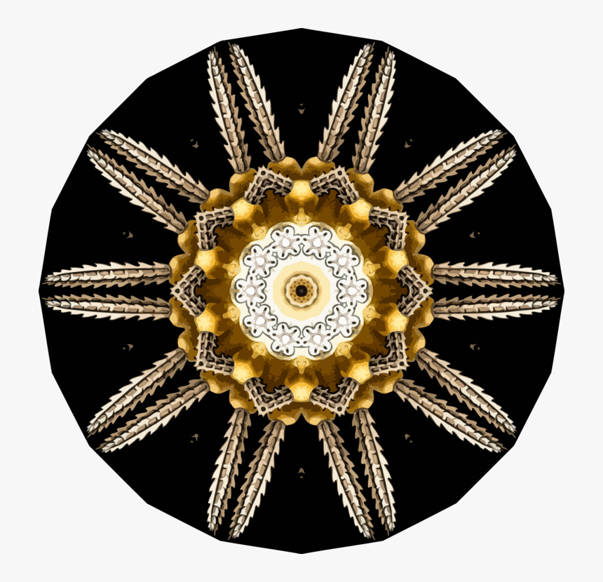 Circle,metal,gold - Cartoon, HD Png Download