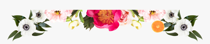 Common Peony, HD Png Download