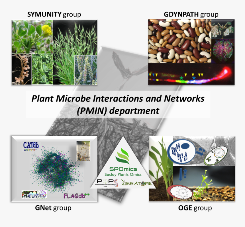 Aquarium, HD Png Download