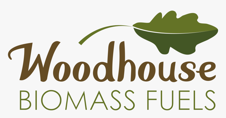 Plus Size Fashion, HD Png Download