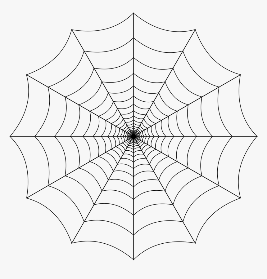 Spider Web Transparent Background, HD Png Download