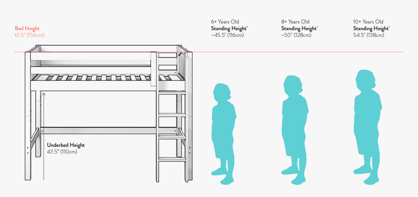 Transparent Child Standing Png - Bunk Bed Height, Png Download