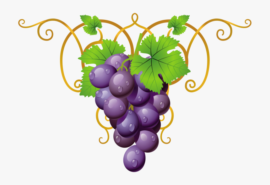 Transparent Clipart Grape Vine Png , Png Download - Promise Tamil Bible Verses, Png Download