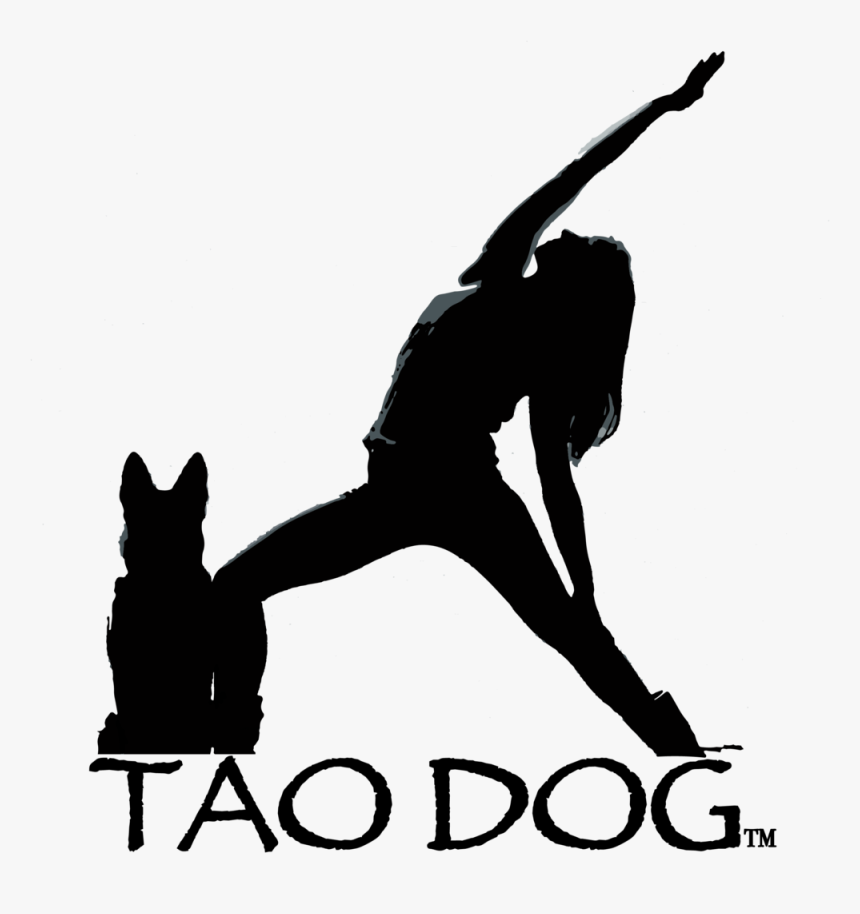 Tdylogotmweb - Silhouette, HD Png Download