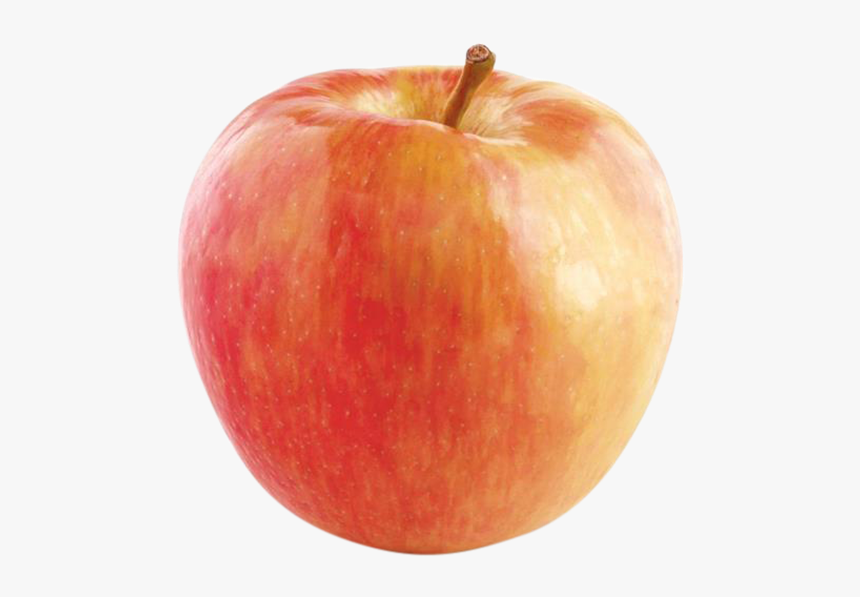 Mcintosh, HD Png Download