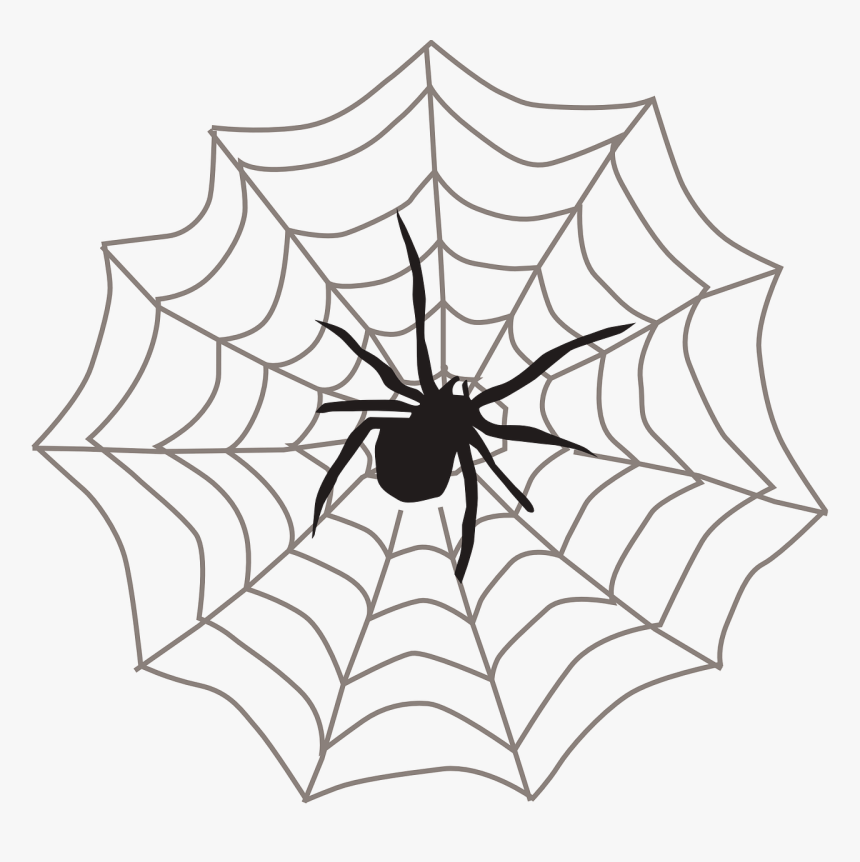 Spider Web Black Arachnid Free Picture - Spider On Web Clipart, HD Png Download