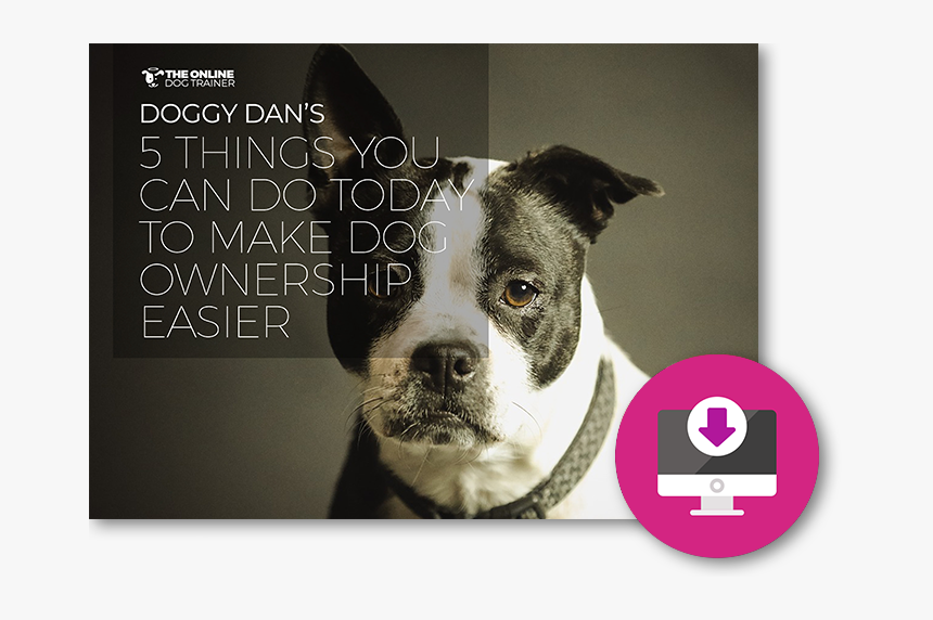 Life Is Like A Dog, HD Png Download