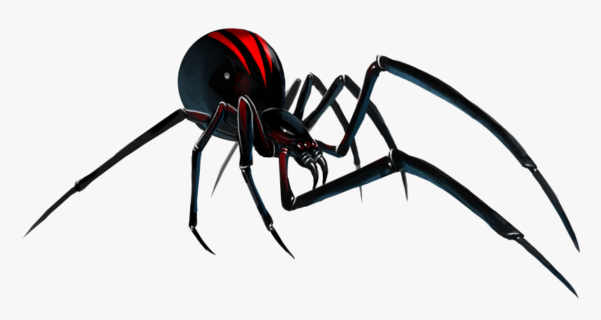 Spider,black Spider - Transparent Background Black Widow Spider Png, Png Download