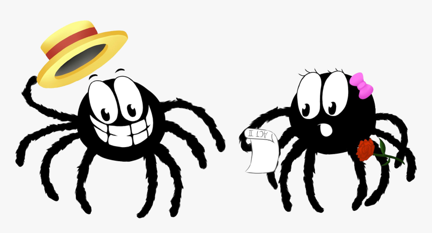 Cobweb Drama - Hairy Ass Spider, HD Png Download