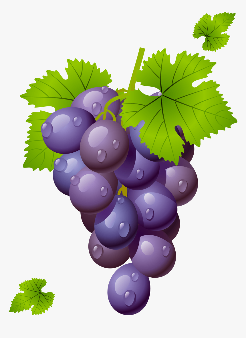 Grape Clipart Png, Transparent Png