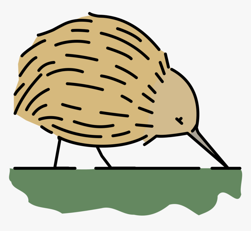 Kiwi,bird,coloring Book - Coloring Book, HD Png Download